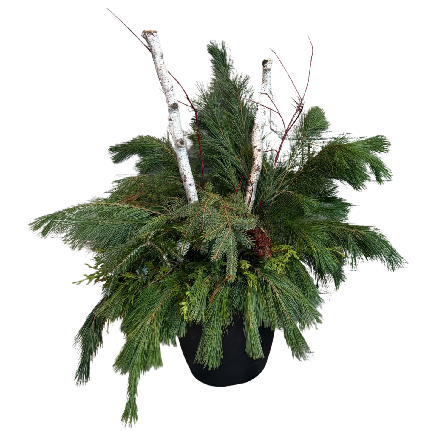 Holiday Luxe Planter